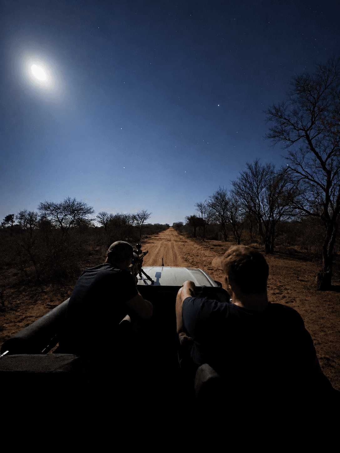 Guided night drive across the bushveld under moonlight at Bougasvlei Safaris